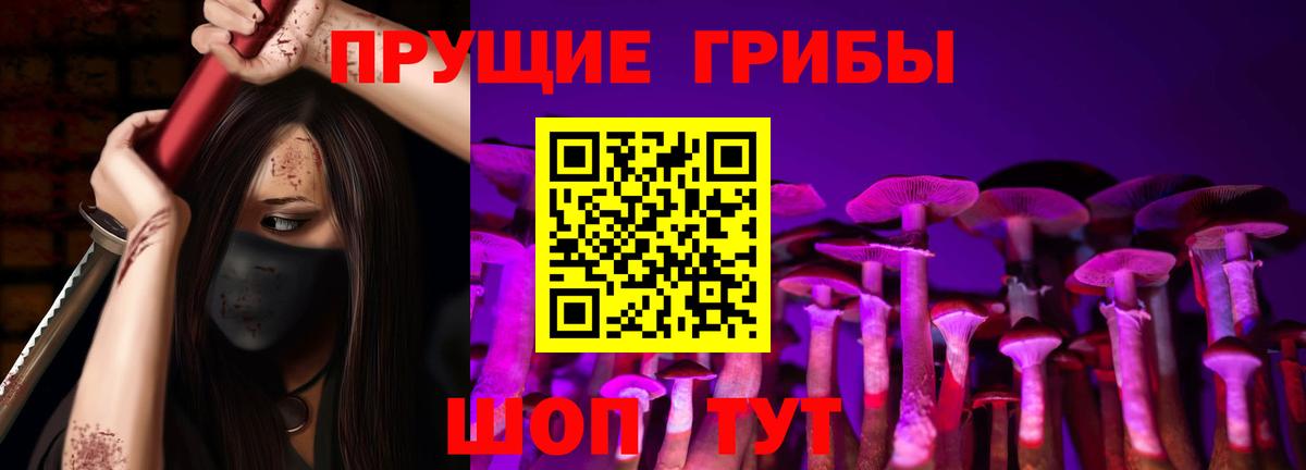 Псилоцибиновые грибы Psilocybine cubensis Сергиев Посад